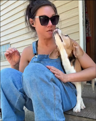 Illustration de l'article : Après 7 années sans amour, cet ancien Beagle de laboratoire savoure ses premiers câlins en famille (vidéo)