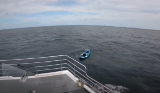 Illustration de l'article : Seul dans un kayak à la dérive en mer du Nord, un chien est secouru à 4 km du rivage par un bateau d'excursion (vidéo)