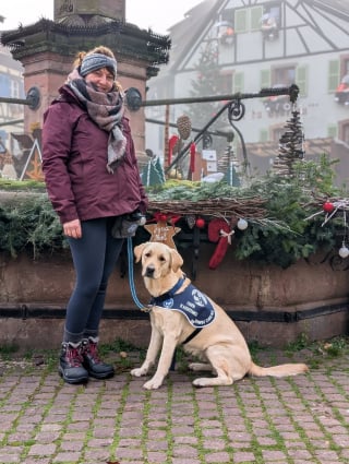 Illustration de l'article : Au commissariat de Mulhouse (68), une chienne d’assistance judiciaire accompagne les victimes et les aide à libérer leur parole (vidéo)