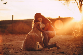 Illustration de l'article : La Confédération Nationale Défense de l'Animal veut mieux protéger les animaux souvent oubliés dans les affaires de violences intrafamiliales