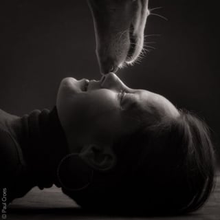 Illustration de l'article : 15 photos qui capturent l’essence même du lien entre un maître et son animal de compagnie