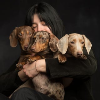 Illustration de l'article : 15 photos qui capturent l’essence même du lien entre un maître et son animal de compagnie
