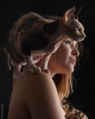 Illustration de l'article : 15 photos qui capturent l’essence même du lien entre un maître et son animal de compagnie