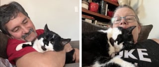 Illustration de l'article : Blessé et amputé d'une patte, cet ex-chat errant est adopté par la femme qui s’est battue pour le sauver (vidéo)