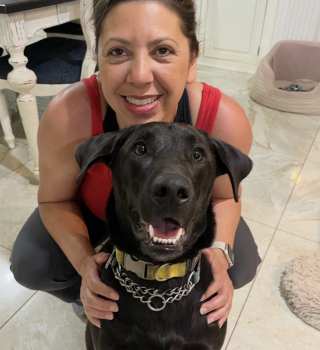 Illustration de l'article : Un Labrador sans abri se présente à la porte d’une maison sans se douter que sa future famille se cache derrière (vidéo)
