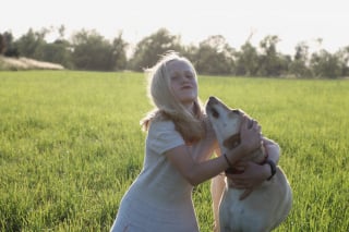 Illustration de l'article : En qu&ecirc;te d'une famille aimante, ce chien la rencontre enfin gr&acirc;ce &agrave; la journ&eacute;e portes ouvertes organis&eacute;e par son refuge
