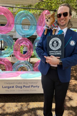 Illustration de l'article : « Un rêve devenu réalité », 276 chiens participent à une fête de piscine et battent un record mondial