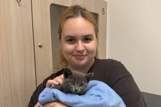 Illustration de l'article : Après avoir recueilli un chaton jeté d'une voiture en marche, elles attendent la fin de son hospitalisation pour l'adopter