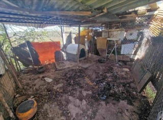 Illustration de l'article : Dans le Var (83), une intervention des gendarmes et de la SPA permet de sauver 3 chiens enferm&eacute;s en cage et vivant dans des conditions indignes
