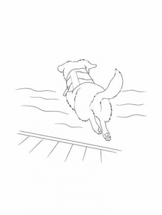 Illustration de l'article : Tombée dans l'eau depuis un bateau, cette femme est immédiatement secourue par son chien Terre-Neuve (vidéo)