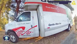 Illustration de l'article : 33 Cavaliers King Charles négligés, dont 21 étaient enfermés dans un camion de location, sauvés par la police