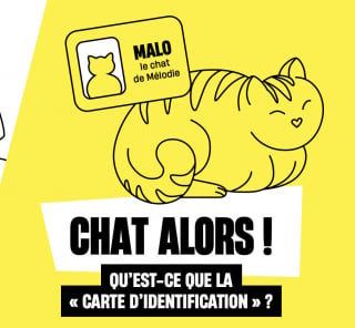 Illustration de l'article : Comment la Semaine Nationale de l’Identification sensibilise les plus jeunes à l'identification de leur animal de compagnie