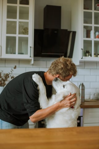 Illustration de l'article : 17 comportements canins qui intriguent les humains