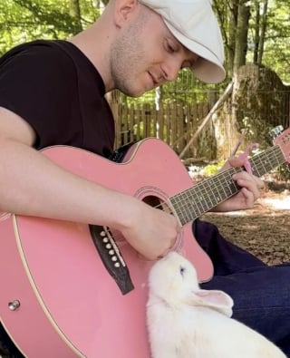 Illustration de l'article : &laquo; Il chantait avec toi &raquo;, ce chanteur joue de la guitare pour deux &acirc;nes miniatures et l'un d'eux lui r&eacute;pond (vid&eacute;o)