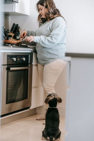 Illustration de l'article : 17 comportements humains que les chiens ne comprennent pas
