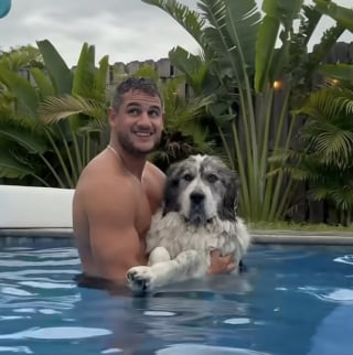 Illustration de l'article : Séparé de sa compagne, un homme passe 3 heures en avion pour revoir son chien et prouve que certains liens ne disparaissent jamais (vidéo)
