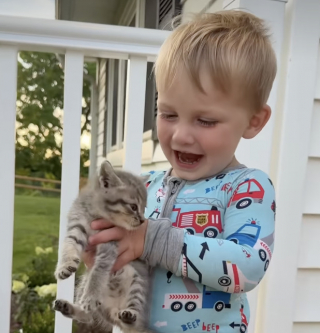 Illustration de l'article : Après la perte de son chat, une famille découvre dans son jardin un chaton errant qui lui apporte une nouvelle dose de bonheur (vidéo)