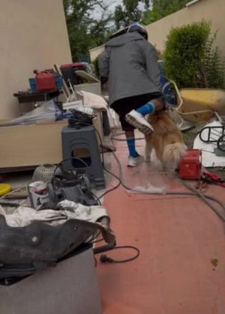 Illustration de l'article : Quotidiennement victime de coups en Seine-Saint-Denis, ce chien échappe enfin à son bourreau de maître après de multiples signalements