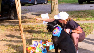 Illustration de l'article : En hommage à leur Beagle en fin de vie, un couple crée un stand de friandises pour chiens qui rassemble le voisinage (vidéo)