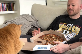 Illustration de l'article : Privée de pizza, une petite chatte rousse exprime son mécontentement en boudant toute la journée (vidéo)