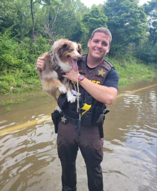 Illustration de l'article : Bloqu&eacute;s dans la voiture et menac&eacute;s par les inondations, un chien et sa ma&icirc;tresse de 72 ans sont sauv&eacute;s in extremis par un policier