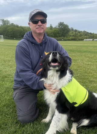 Illustration de l'article : Pendant la Coupe du monde, 2 chiens Border Collies chassent pacifiquement les oies de la pelouse d'un terrain canadien (vidéo)