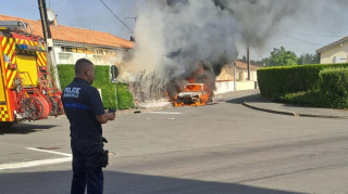 Illustration de l'article : Dans la Vienne, une infirmi&egrave;re &eacute;chappe &agrave; un incendie gr&acirc;ce &agrave; son chat qui la r&eacute;veille en la griffant