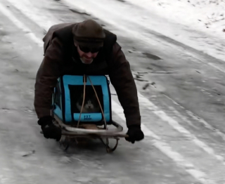 Illustration de l'article : Bien au chaud dans son sac de transport ce chat Maine Coon d&eacute;vale les pistes enneig&eacute;es en luge avec son propri&eacute;taire (vid&eacute;o)