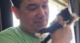 Illustration de l'article : La chance sourit &agrave; un facteur le jour o&ugrave; il sauve un adorable chaton et remporte le gros lot aux jeux