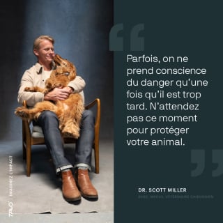 Illustration de l'article : Face aux risques m&eacute;connus en voiture, Tavo Pets lance une campagne pour prot&eacute;ger nos chiens et chats autant que nos enfants