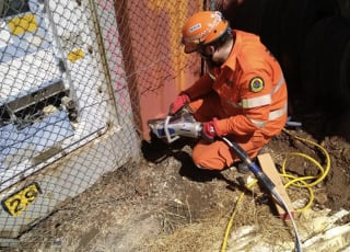 Illustration de l'article : &laquo; Nous &eacute;tions tellement heureux &raquo;, des sauveteurs portent secours &agrave; un chien coinc&eacute; entre deux conteneurs en acier