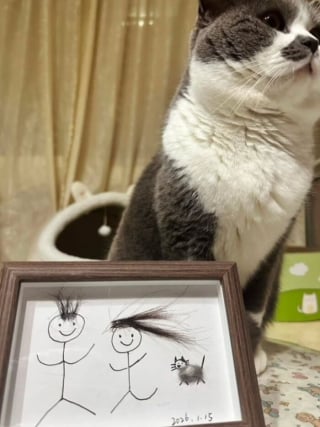 Illustration de l'article : 12 photos amusantes qui prouvent que chiens et chats sont les rois des pitreries