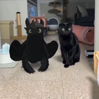 Illustration de l'article : 12 photos amusantes qui prouvent que chiens et chats sont les rois des pitreries