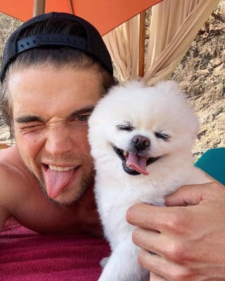 Illustration de l'article : 12 photos touchantes d’hommes et de leurs chiens qui respirent la complicité