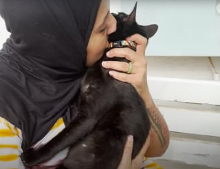 Illustration de l'article : Cach&eacute; dans un buisson et priv&eacute; de 2 pattes, ce chat rebondit &agrave; des milliers de kilom&egrave;tres et r&eacute;conforte les v&eacute;t&eacute;rans handicap&eacute;s