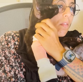 Illustration de l'article : Cach&eacute; dans un buisson et priv&eacute; de 2 pattes, ce chat rebondit &agrave; des milliers de kilom&egrave;tres et r&eacute;conforte les v&eacute;t&eacute;rans handicap&eacute;s