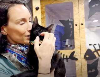 Illustration de l'article : Cach&eacute; dans un buisson et priv&eacute; de 2 pattes, ce chat rebondit &agrave; des milliers de kilom&egrave;tres et r&eacute;conforte les v&eacute;t&eacute;rans handicap&eacute;s