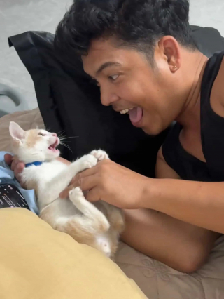 Illustration de l'article : Tandis qu&rsquo;il cr&eacute;e des ombres avec ses mains, son chaton curieux croit avoir trouv&eacute; un nouvel ami (vid&eacute;o)