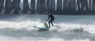 Illustration de l'article : Atteinte d'un cancer cette l&eacute;gendaire chienne surfeuse s'offre une ultime vague sous les applaudissements de ses fans