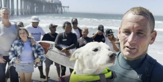 Illustration de l'article : Atteinte d'un cancer cette l&eacute;gendaire chienne surfeuse s'offre une ultime vague sous les applaudissements de ses fans