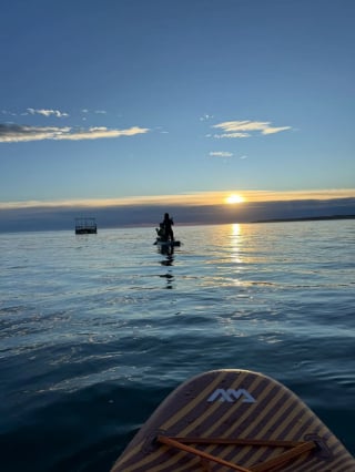 Illustration de l'article : &laquo; Nous avons aper&ccedil;u quelque chose dans l&rsquo;eau &raquo;, en pleine mer, des adeptes du paddle viennent au secours d&rsquo;un chien en danger (vid&eacute;o)