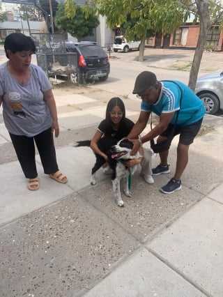 Illustration de l'article : &laquo; Nous avons aper&ccedil;u quelque chose dans l&rsquo;eau &raquo;, en pleine mer, des adeptes du paddle viennent au secours d&rsquo;un chien en danger (vid&eacute;o)