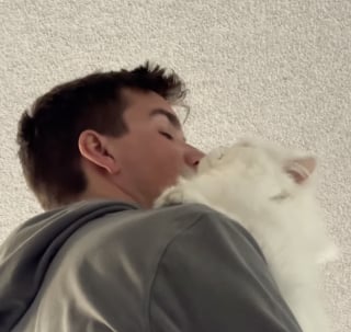 Illustration de l'article : &laquo; Mon mari et le chat qu'il ne voulait pas &raquo;, quand un petit f&eacute;lin transforme un homme r&eacute;ticent en papa aimant (vid&eacute;o)