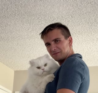 Illustration de l'article : &laquo; Mon mari et le chat qu'il ne voulait pas &raquo;, quand un petit f&eacute;lin transforme un homme r&eacute;ticent en papa aimant (vid&eacute;o)