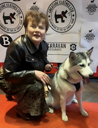 Illustration de l'article : Les FIDOS Awards f&ecirc;tent leurs 20 ans et c&eacute;l&egrave;brent les meilleures performances canines du cin&eacute;ma mondial (vid&eacute;o)