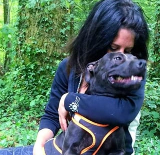 Illustration de l'article : A 3 mois du verdict dans l'affaire Pilarski, une p&eacute;tition pour sauver le chien Curtis de l'euthanasie r&eacute;colte 35 000 signatures