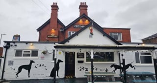 Illustration de l'article : « Comme si elle y avait toujours vécu », une chatte autrefois errante et affamée devient la mascotte adorée d’un pub