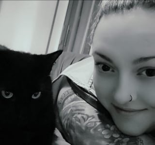 Illustration de l'article : « Comme si elle y avait toujours vécu », une chatte autrefois errante et affamée devient la mascotte adorée d’un pub