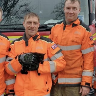 Illustration de l'article : Coinc&eacute; dans le moteur de cette voiture ce chaton rebelle est finalement adopt&eacute; par son pompier sauveteur