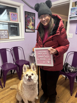 Illustration de l'article : &laquo; Pendant 6 ans, il n'a eu aucune famille &raquo;, rejet&eacute; pour son sourire unique, ce chien d&eacute;couvre enfin la vie dans un foyer (vid&eacute;o)